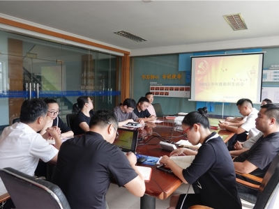 芯能科技黨支部開(kāi)展2022年上半年度組織生活會(huì)